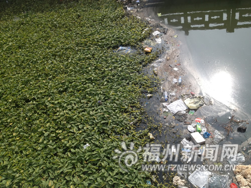 福州新聞網