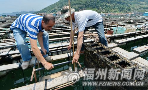 福州新聞網