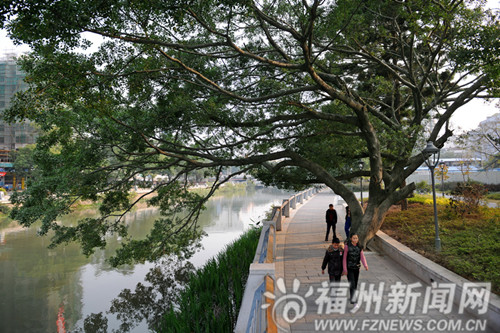 福州新聞網
