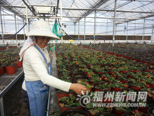 福州新聞網