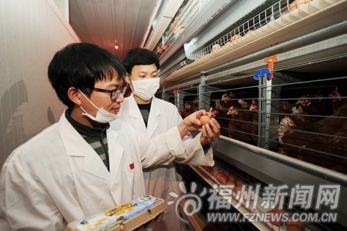福州新聞網