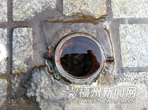 福州新聞網