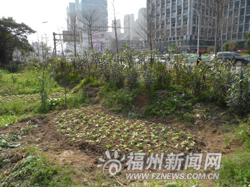福州新聞網