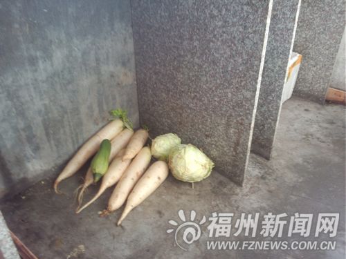 福州新聞網