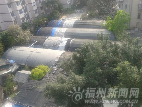福州新聞網