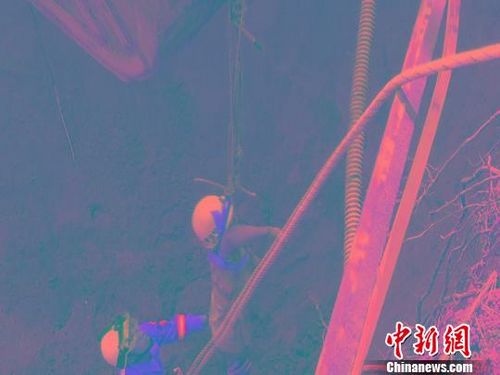 福州新聞網