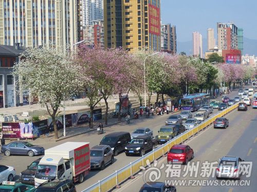福州新聞網(wǎng)