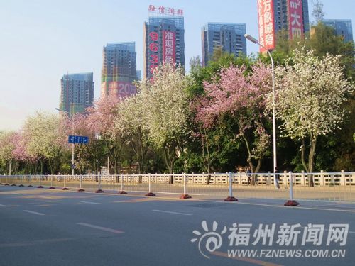 福州新聞網(wǎng)