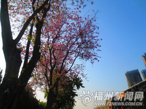 福州新聞網(wǎng)