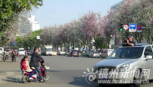福州新聞網(wǎng)