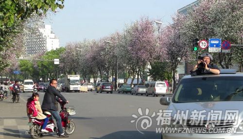 福州新聞網(wǎng)