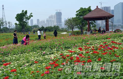 福州新聞網