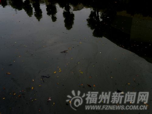 福州新聞網
