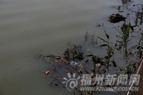 福州新聞網