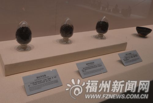 福州新聞網