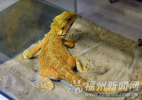 福州新聞網