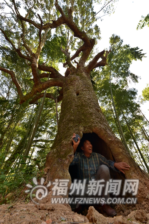 福州新聞網