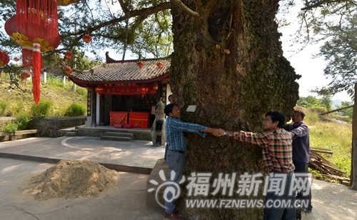 福州新聞網