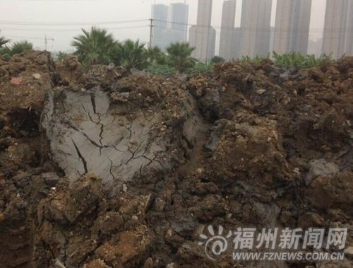 花木場被偷倒兩米高渣土　長樂種植戶損失近30萬