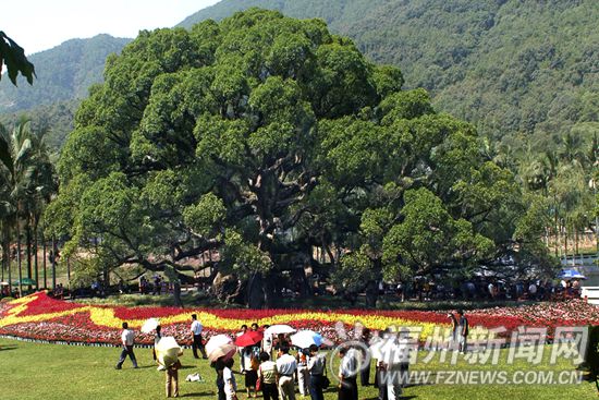 福州建市樹市花主題公園　打造升級版“榕之城”