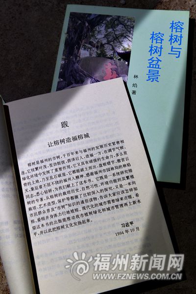 福州建市樹市花主題公園 打造升級版“榕之城”