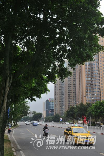 福州建市樹市花主題公園 打造升級版“榕之城”