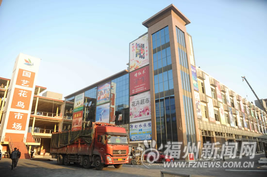福州新花鳥市場元旦試營業　已完成整體建設工程　