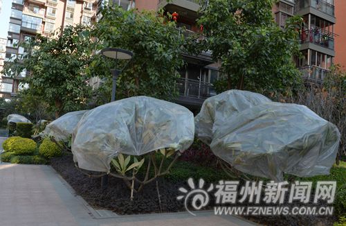 21日又有一股冷空氣將襲擊榕城　請注意防寒保暖