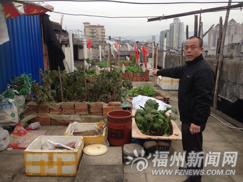 樓頂天臺被人“蓋房”又種菜　疑為食品加工作坊