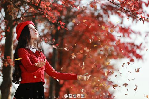 到哪欣賞福州隆冬最美景致？觀景微地圖帶你尋找