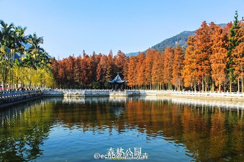 到哪欣賞福州隆冬最美景致？觀景微地圖帶你尋找