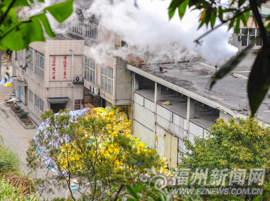 閩侯青口鎮醫療垃圾露天堆放　田地荒蕪空氣變差
