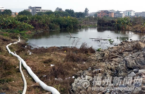 盤嶼路池塘排水超出管道流量　車輛積水前排長隊