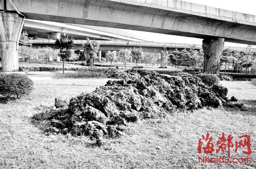 三環鱔溪段倒渣土200噸 福州花木公司花數萬清運