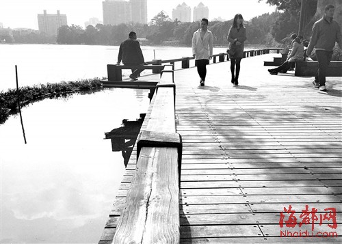 左海公園新修木棧道即將投用　護(hù)欄只到膝蓋位置