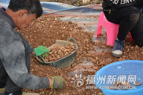 連江發掘新石器時期人類生活遺址　距今已5000年