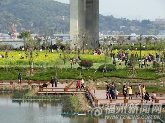 福州市民掀出國賞花熱　熱門旅游目的地住宿緊張