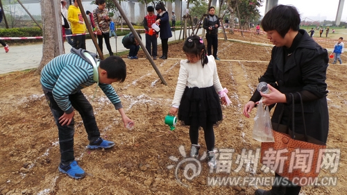 榕160多個親子家庭前往花海公園 播撒百日草花種