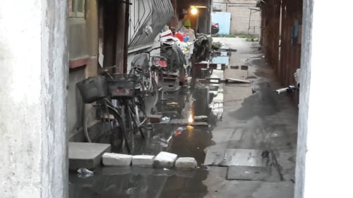 臺江電子管新村晴天照樣污水橫流　住戶出行困難