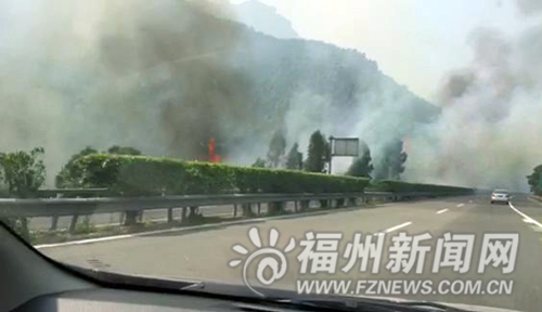 清明福州接森林火警近百起　福清過(guò)火面積近百畝