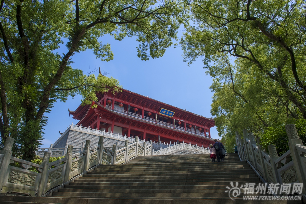 榕城四月春色競妖嬈　羊蹄甲花開西湖畔柳枝輕揚