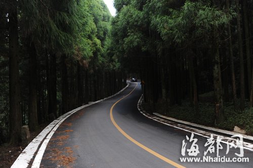 渣土侵襲最拉風山路　鼓宦公路綠化帶“很受傷”