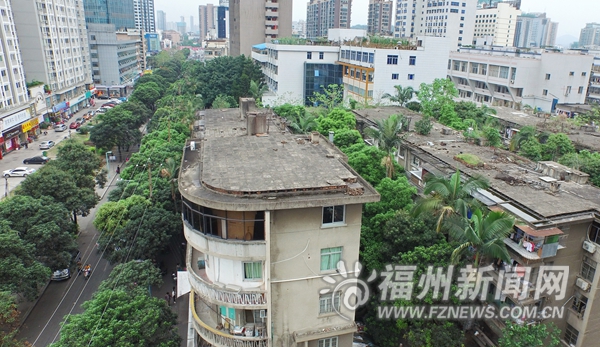 群眾西路改造受阻交通擁堵不堪 拆遷協議僅簽6戶