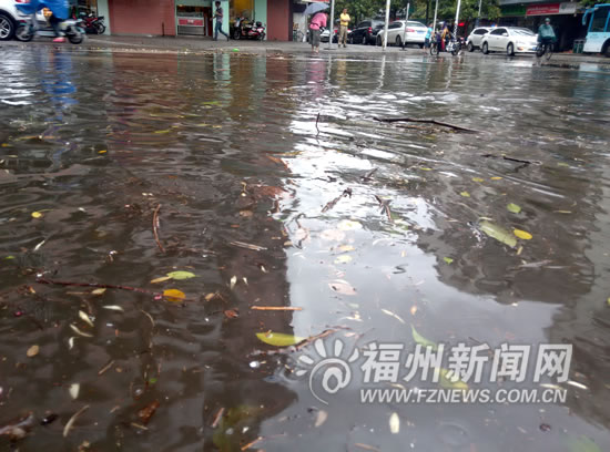 狂風(fēng)暴雨突襲榕城　多處行道樹廣告牌路牌被刮倒