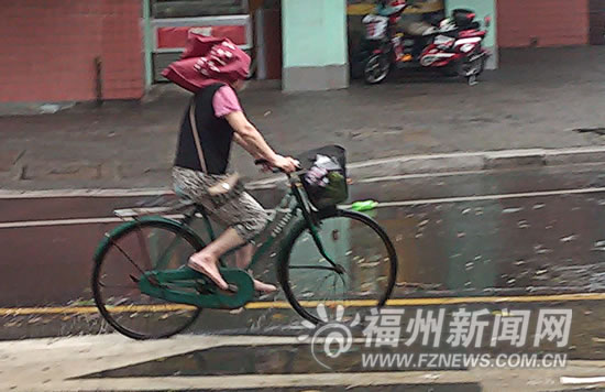 狂風(fēng)暴雨突襲榕城　多處行道樹廣告牌路牌被刮倒