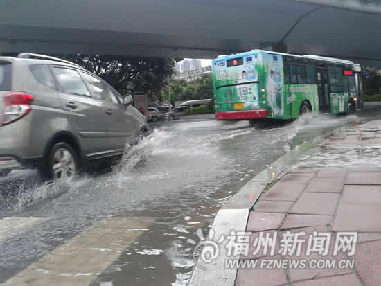 狂風(fēng)暴雨突襲榕城　多處行道樹廣告牌路牌被刮倒