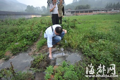 豬場糞水直排大樟溪　環保廳督促屬地本月內拆除