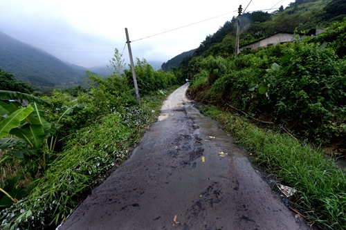 閩侯火炬村養豬場糞水直排　流入小溪后匯入閩江