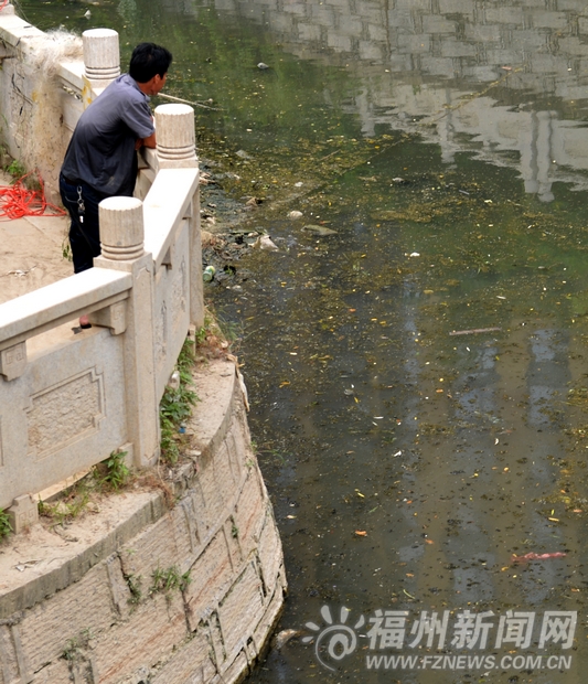 琴亭湖入水口漂滿垃圾　管理處：已加派人手清理