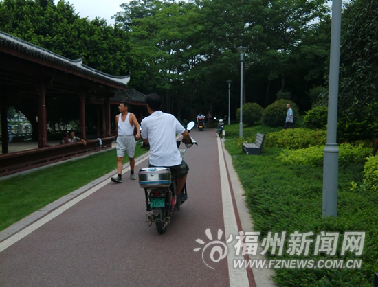 亂騎車摘芒果　福州光明港公園不文明行為煞風景
